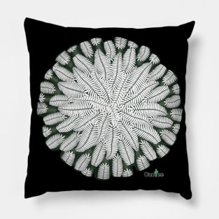 Pelecyphora Aselliformis Pillow