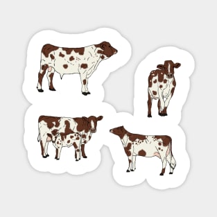 Ayrshire Cows Pattern Transparent Magnet