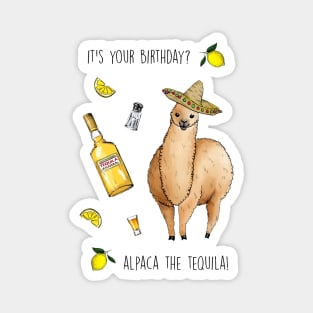 Alpaca the tequila Magnet