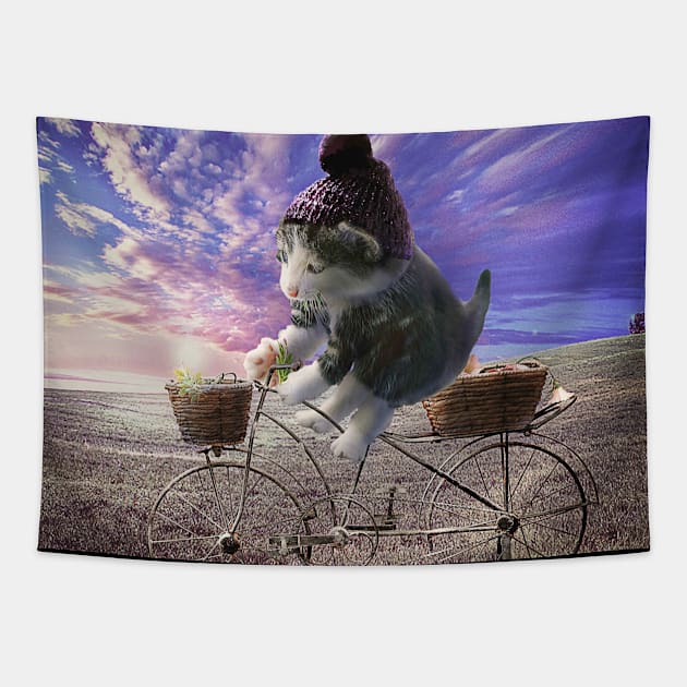 Cat Bike Bicycle Cycling Tapestry by Random Galaxy