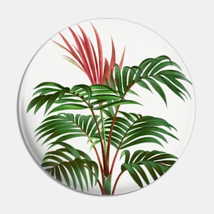 Red Feather Palm vintage nature art Pin