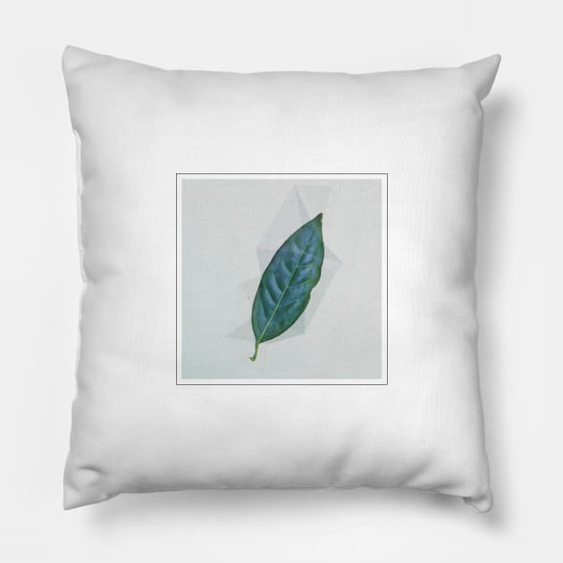 Real Floral Plant Leaf 4 Pillow by Podi Shawna