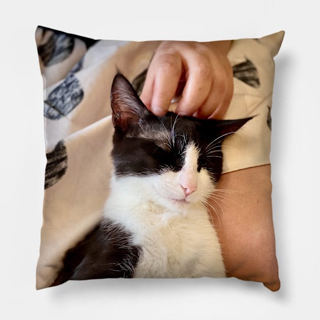 Cat Cafe: Fergie (gifts) Pillow by VisualSpice