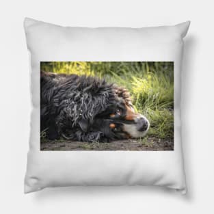 bernese Mountain dogs lover Pillow