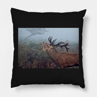 Red deer stag Pillow