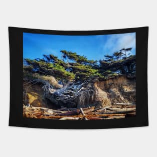 Kalaloch Tree of Life Tapestry