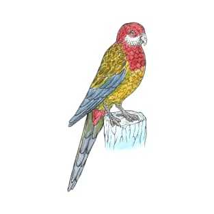 Eastern Rosella T-Shirt