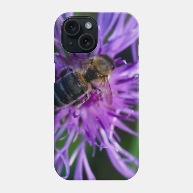 Bee On Purple Flower Phone Case by Pirino