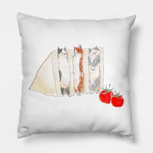 Sandwich Pillow