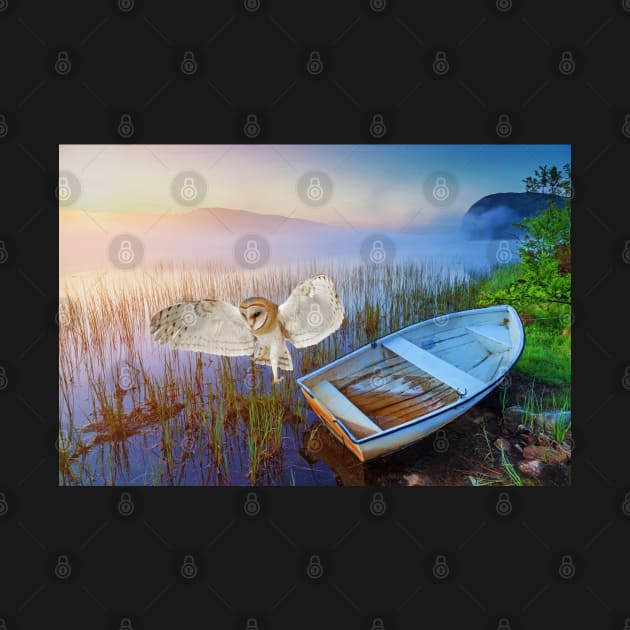 Barn Owl and Boat by lauradyoung