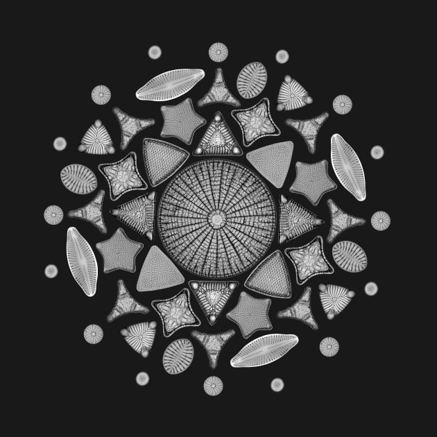 Black and White Diatom Mandala by StephJChild