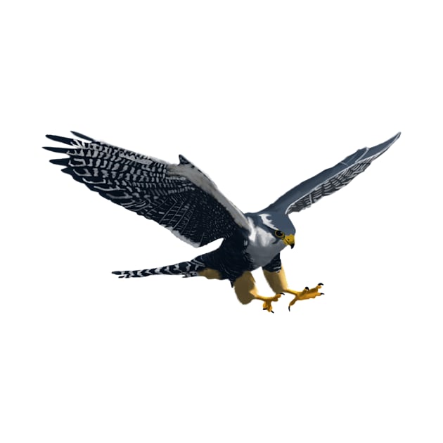 Falcon by College Mascot Designs