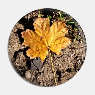 Golden Autumn Maple Leaf Pin