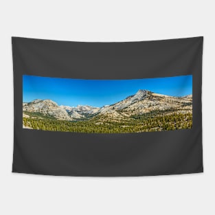 Tenaya Lake Yosemite National Park Tapestry