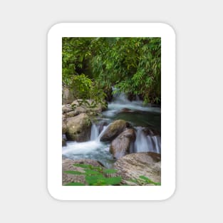 Small waterfall in a forest Magnet