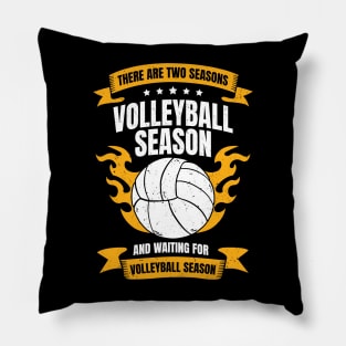 Funny Volleyball Player Season Coach Gift Pillow