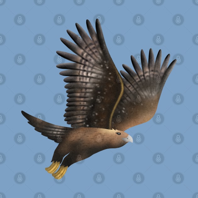 Golden Eagle - Aquila chrysaetos by CleanRain3675