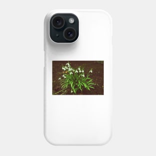Down In The Woods Phone Case