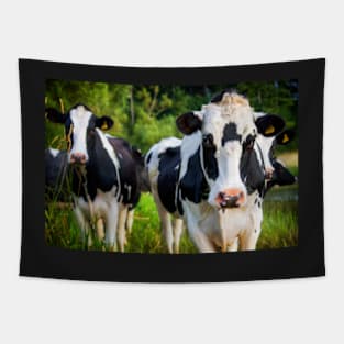 The Curious Cows Tapestry