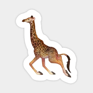 Cozy Masai Giraffe Magnet