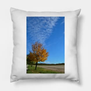 Autumnal Tree Pillow