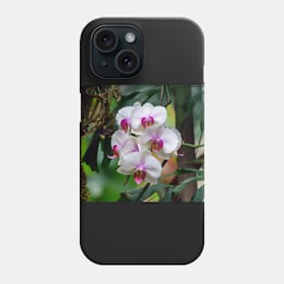 White Orchid Flowers Phone Case