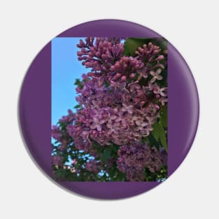 Blooming Purple Flowers Pin