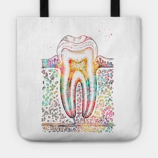 Tooth diagram Tote