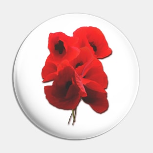 A bunch of poppies Pin