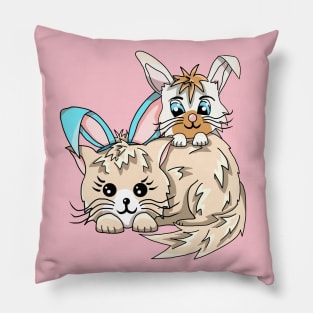 A Bunny and A Kitty Cat Pillow