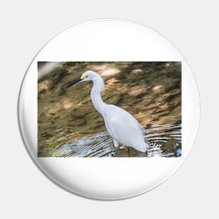 Reflections of Snowy Egret Pin