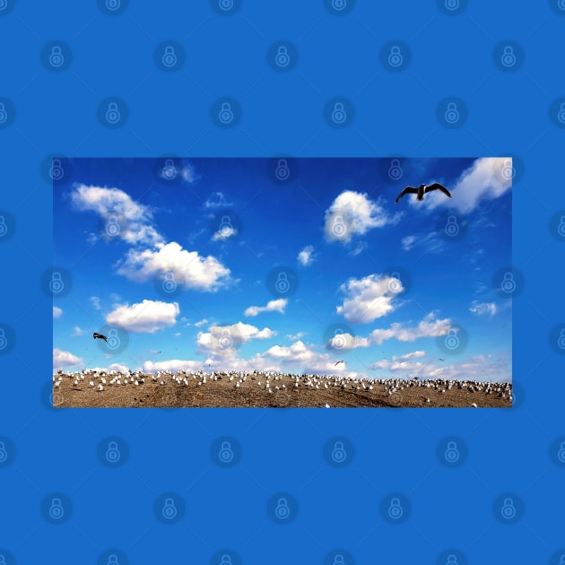 Birds On A Hill by Rosemarie Guieb Designs