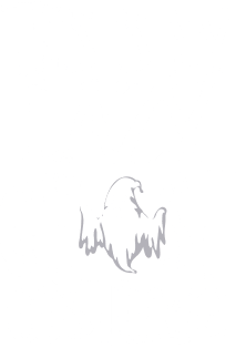 This Is My Lazy Ghost Costume Magnet