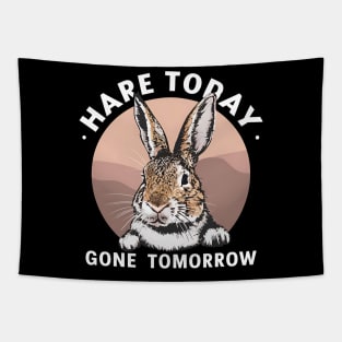 Funny Rabbit Hare Today Gone Tomorrow Tapestry