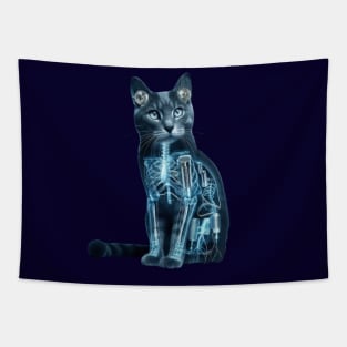 Acoustic Kitty Project Tapestry