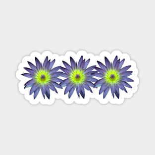 Water Lily Flower Stickers Magnet