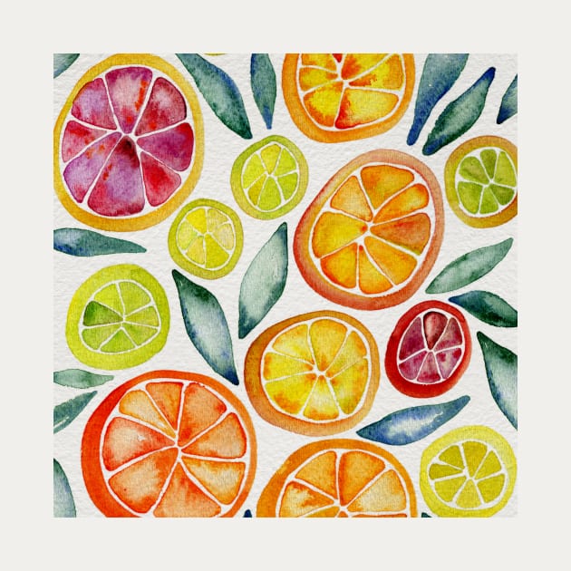 Citrus Slices by CatCoq