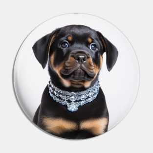 Rottweiler Against White Background Pin