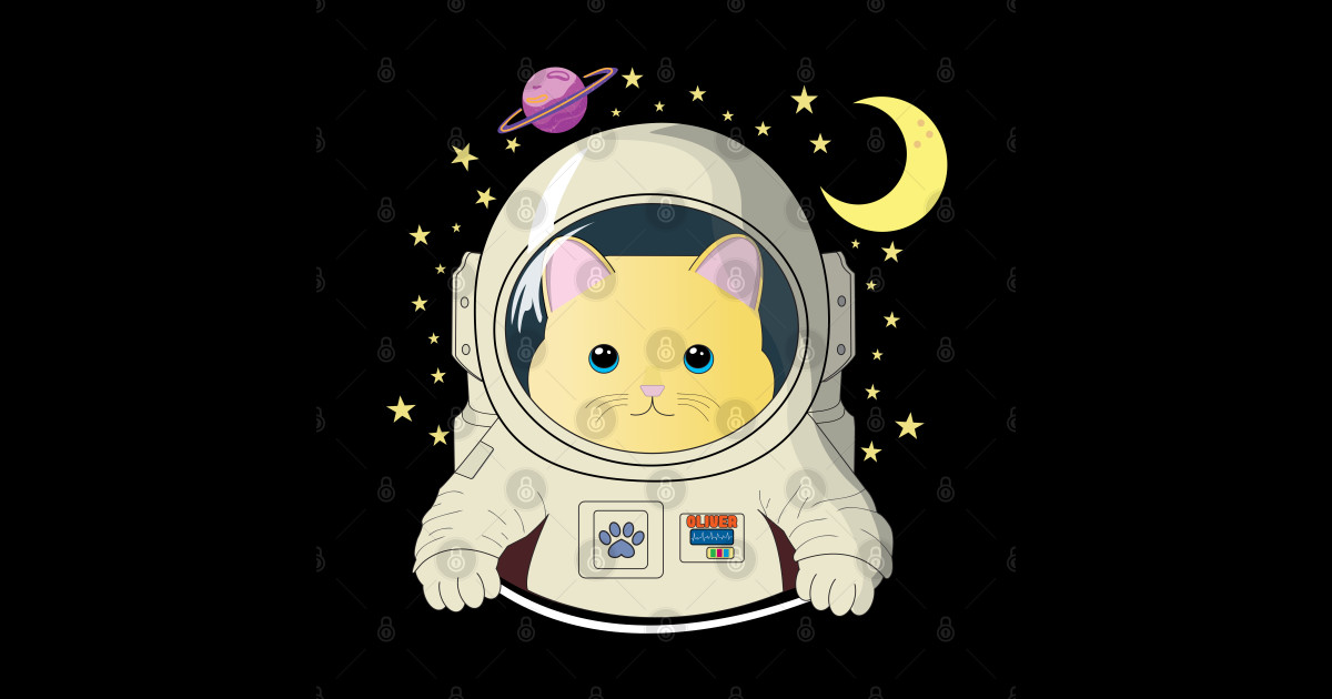 Space cat Ap lang cat in the space Cute cat Funny cat Cat In