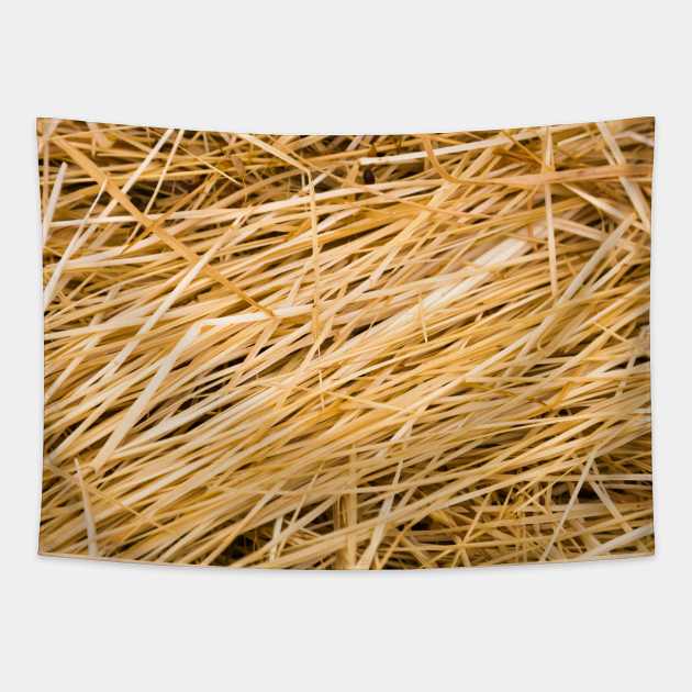 Dried yellow grass Tapestry by textural