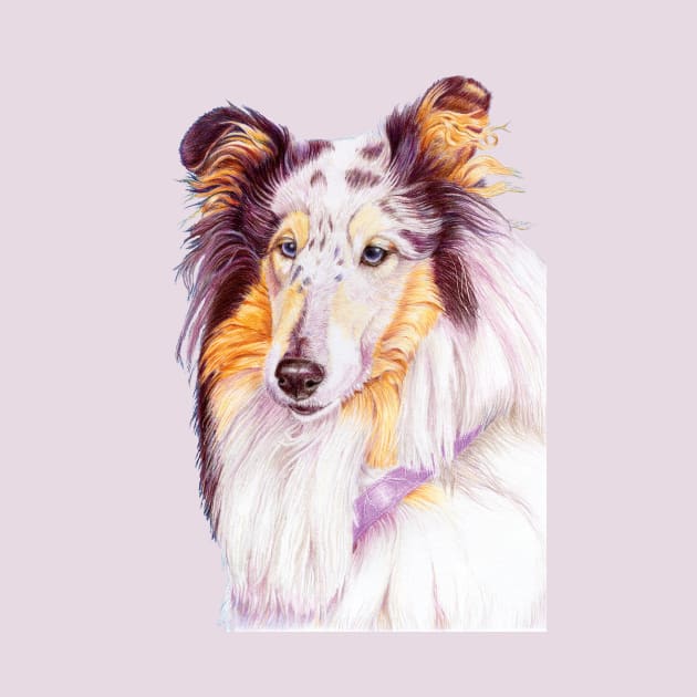 Collie - blue merle by doggyshop