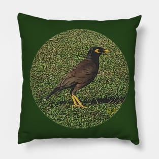Myna Bird on Grass, photo art Pillow