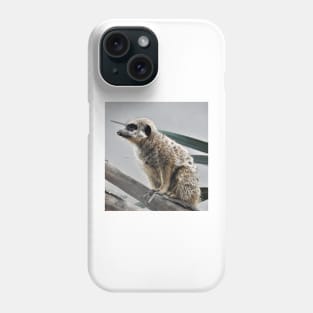 Meerkat Phone Case