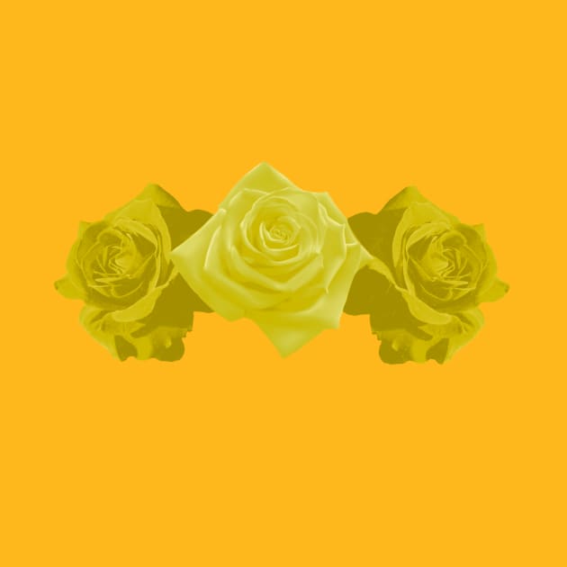 Three Yellow Roses by justingrinter