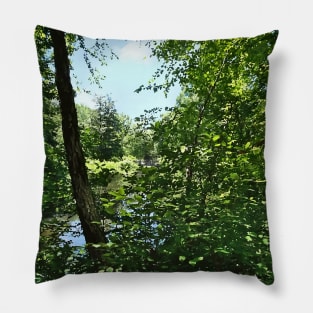 Park With Bridge in Distance Pillow