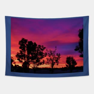 Spectacular sunrise Tapestry