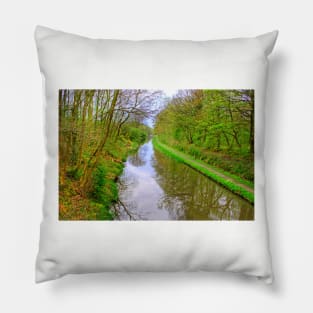 Union Canal II Pillow