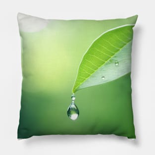 Leaf Water Drop Nature Serene Tranquil Pillow