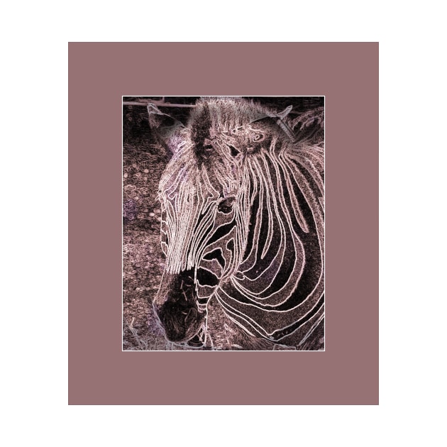 pink zebra by MGphotoart