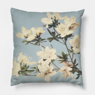 Vintage Japanese print of azaleas Pillow